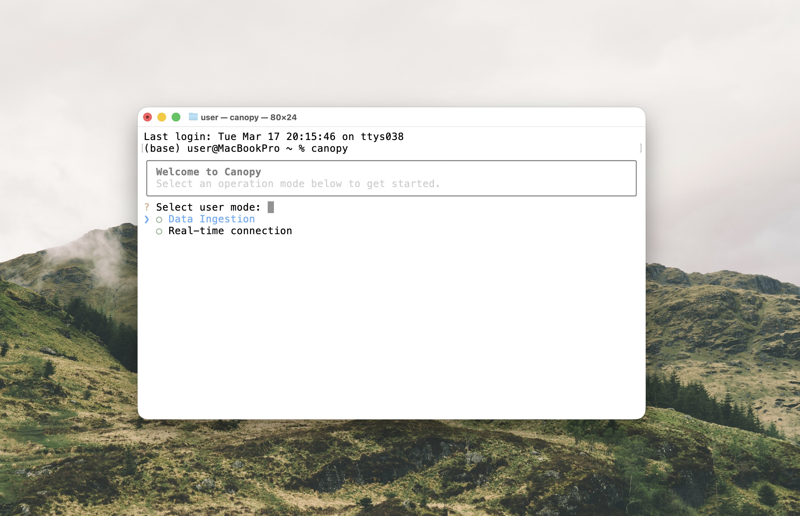 Terminal loading preview